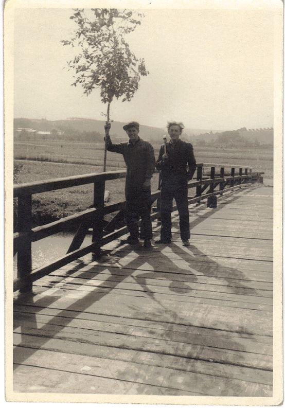 Holzbrücke Tauchlitz 1954
